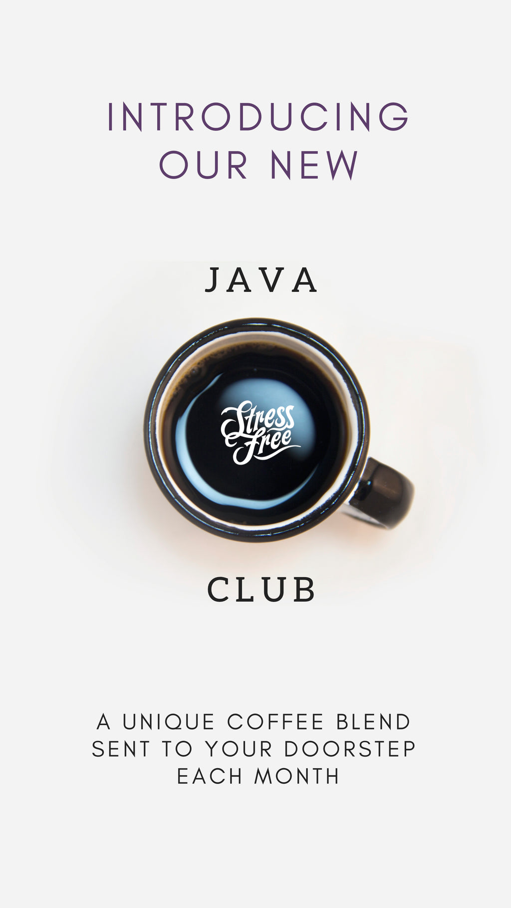 Stress-Free Java Club - Monthly Program